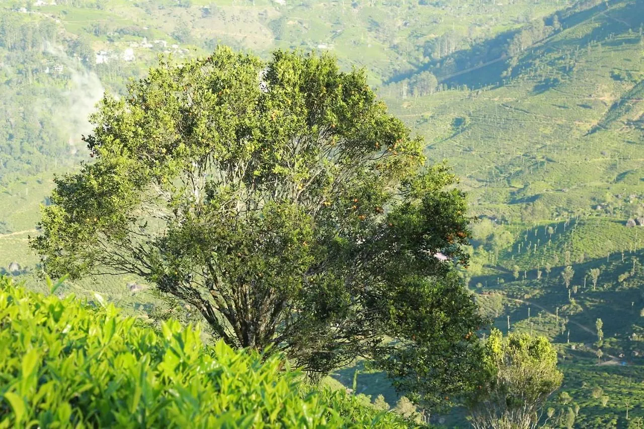 The Nirvana Resort Munnar 0*,