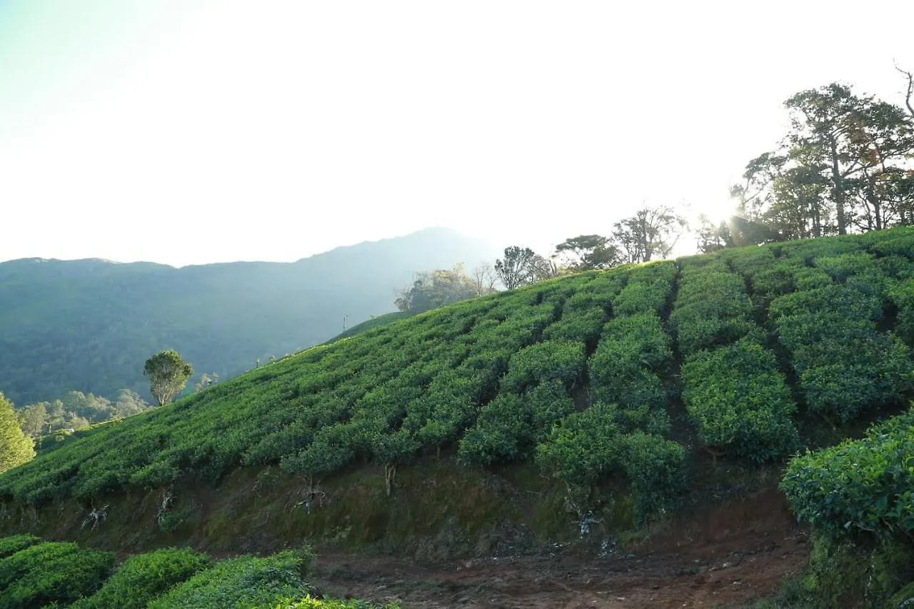 The Nirvana Resort Munnar