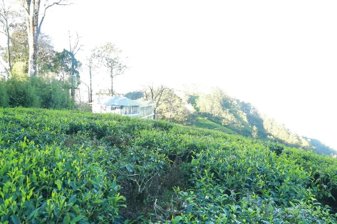 The Nirvana Resort Munnar India