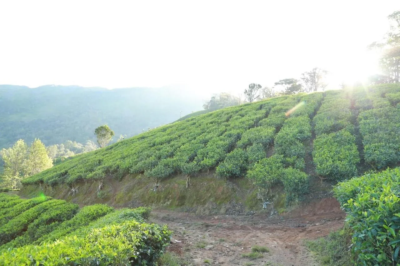 The Nirvana Resort Munnar India
